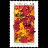 Canada postage - Acer saccharum (Sugar maple)
