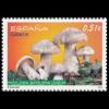Spain postage - Entoloma sinuatum (Livid entoloma)