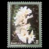 Brazil postage - Irpex rosettiformis