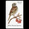 Zonotrichia albicollis (White-throated sparrow)
