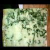 Penicillium roqueforti (Penicillium) Roquefort cheese